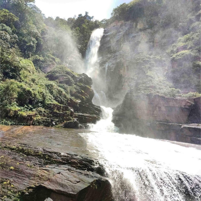 CARANAVI-01.jpg