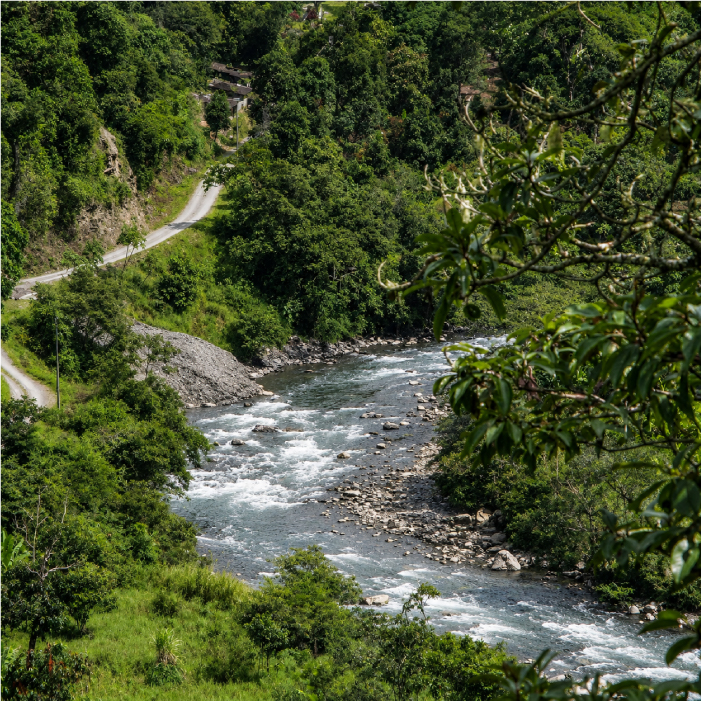 COROICO 2.1-06.jpg