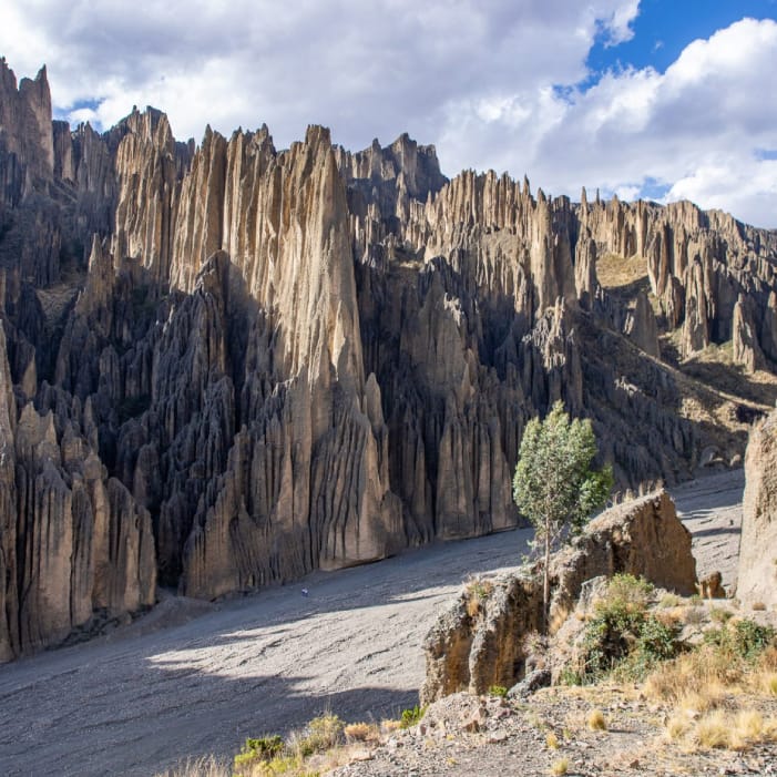 LA PAZ-01