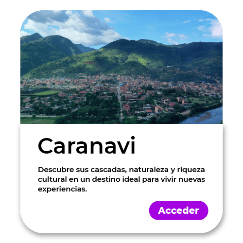turistica 3-03