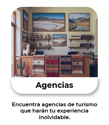 AGENCIAS LP